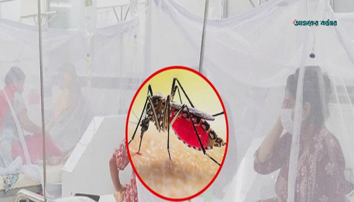 একদিনে ডেঙ্গুর সর্বোচ্চ রেকর্ড, ২৪ ঘণ্টায় মৃত্যু ৬ জনের