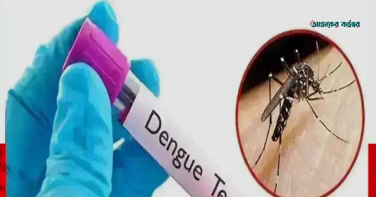 ডেঙ্গুতে আরও ছয়জনের মৃত্যু, নতুন শনাক্ত ১৮৬৮ জন