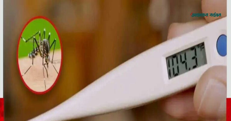 দেশে ডেঙ্গুতে আরও ৮ মৃত্যু, আক্রান্ত ছাড়াল ৭৫ হাজার