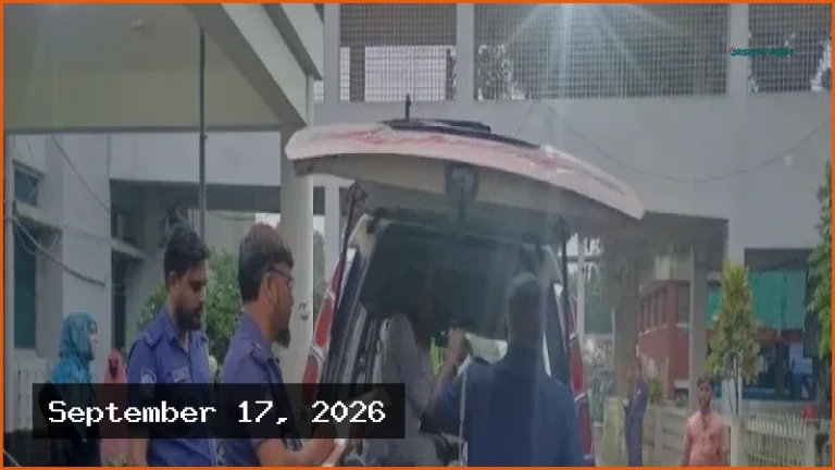 ধামরাইয়ে পিকআপ-অটোরিকশা সংঘর্ষে নারী ও শিশুসহ নিহত ৩