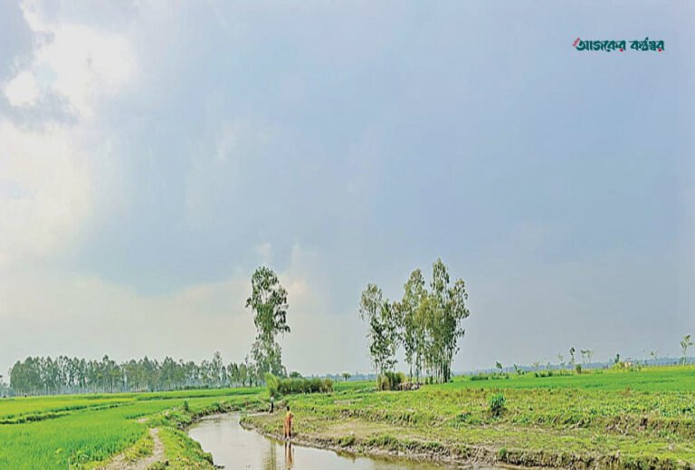 বাংলাদেশ-ভারতের অভিন্ন নদীর সংখ্যা তালিকায় থাকা ৫৭টির চেয়ে অনেক বেশি