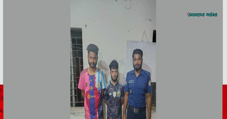 মনপুরায় ১০ পিস ইয়াবাসহ দুই যুবক গ্রেপ্তার