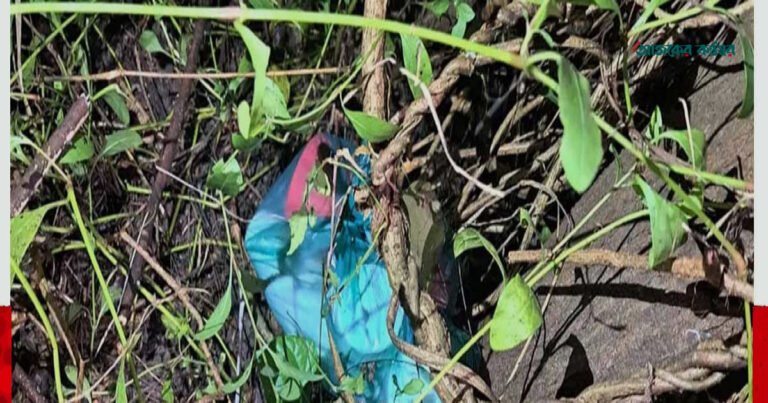 রায়েরবাজার বুদ্ধিজীবী কবরস্থানে ককটেলসদৃশ বস্তু, এলাকা ঘিরেছে এসআরবি