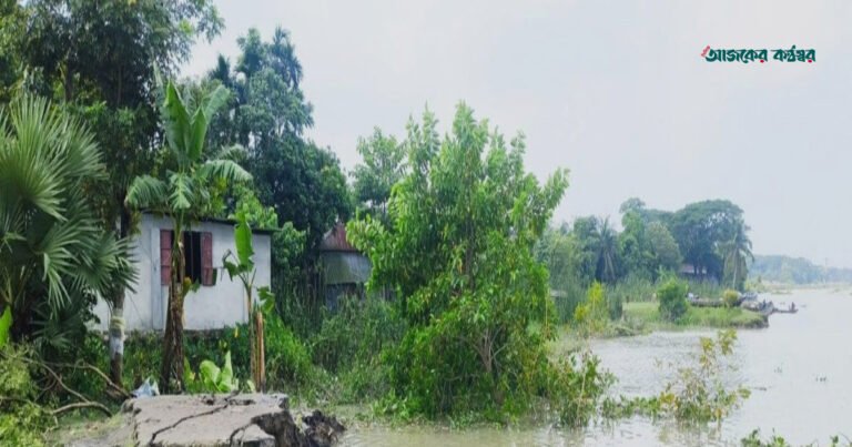 সুগন্ধার তীব্র ভাঙনে বিলীন বাবুগঞ্জ বাজারের ২০০ গজ এলাকা