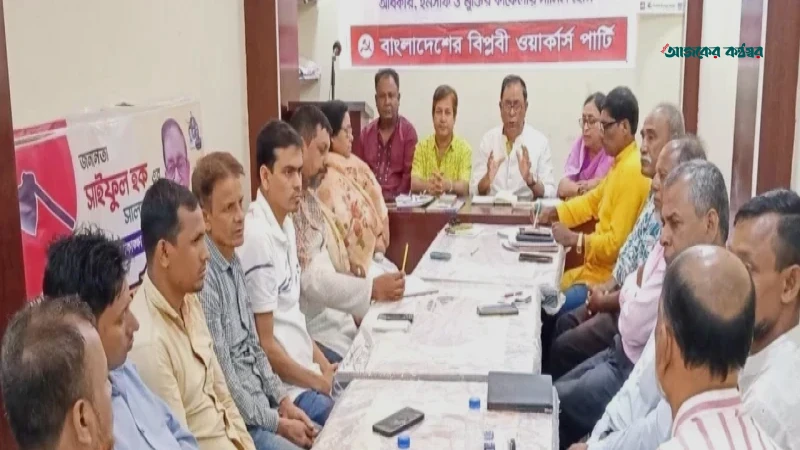 আওয়ামী লীগ নিয়ে দড়ি টানাটানি বুমেরাং হতে পারে: সাইফুল হক