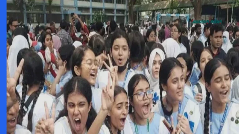 এইচএসসি পরীক্ষার ফলাফল প্রকাশ: কোন বোর্ডে পাসের হার কত