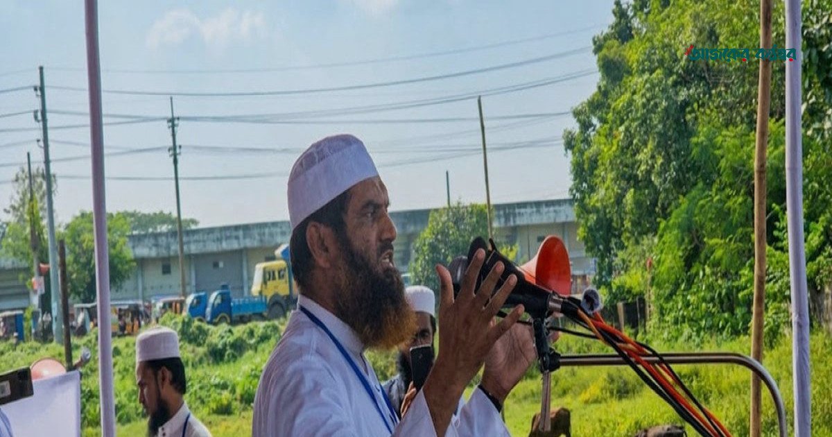 গণভোট অস্বীকার করে জাতির সঙ্গে বিশ্বাসঘাতকতা করেছে বিএনপি: মামুনুল হক