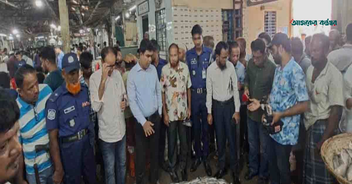 চাঁদপুরে পচা ইলিশ বিক্রির দায়ে ব্যবসায়ীকে ১০ হাজার টাকা জরিমানা