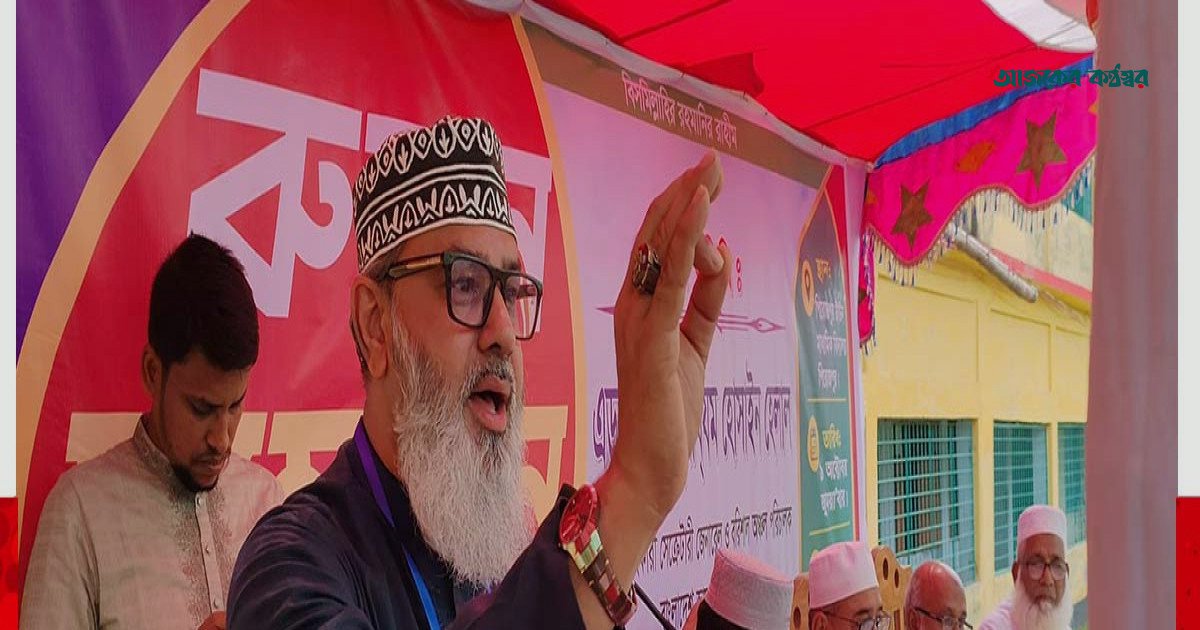 ছায়া সরকার হিসেবে গঠনমূলক সমালোচনা করতে চায় জামায়াত: মাসুদ সাঈদী