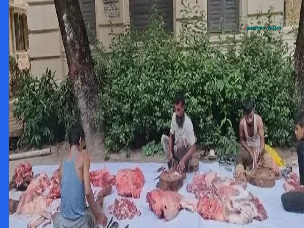 জবিতে নিষেধাজ্ঞার প্রতিবাদে ভিসি ভবনের পাশে গরু জবাই করে শিক্ষার্থীদের ভূরিভোজ