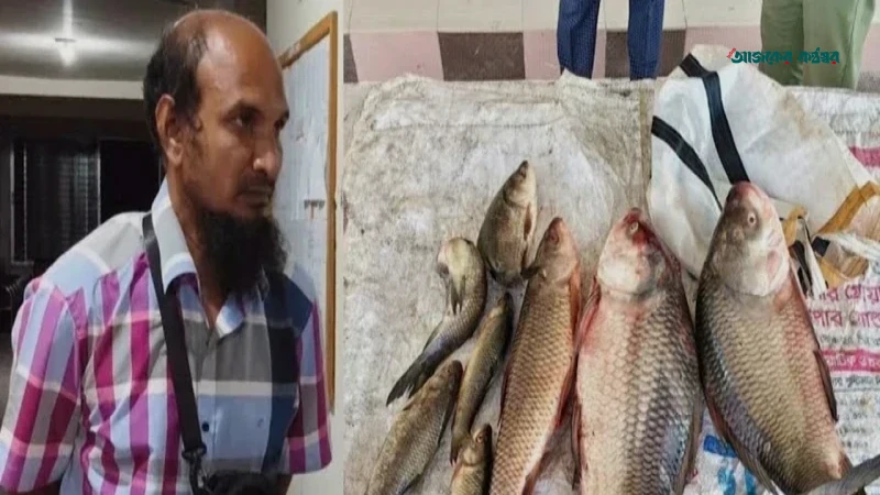 জিয়ানগরে পুকুরের মাছ ধরে বাড়ি নেওয়ার সময় খাদ্য কর্মকর্তা আটক