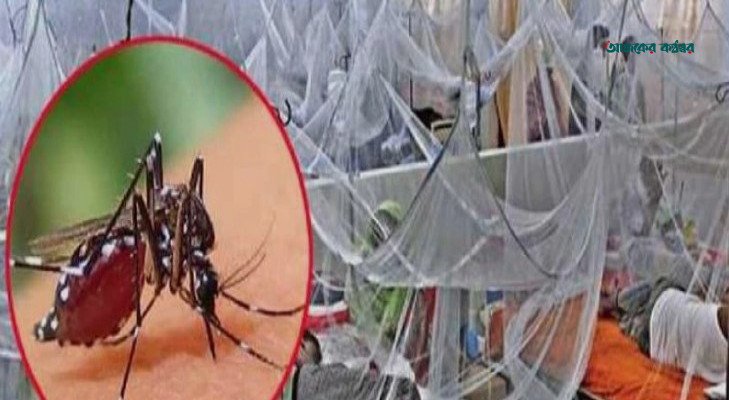 ডেঙ্গুতে শিশুসহ আরও ৪ মৃত্যু, মোট শনাক্ত লাখ ছাড়াল