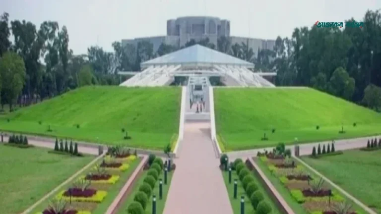 ঢাকায় নেমেই ছিনতাইয়ের শিকার সৌদি প্রবাসী, খোয়ালেন রিয়াল ও স্বর্ণ