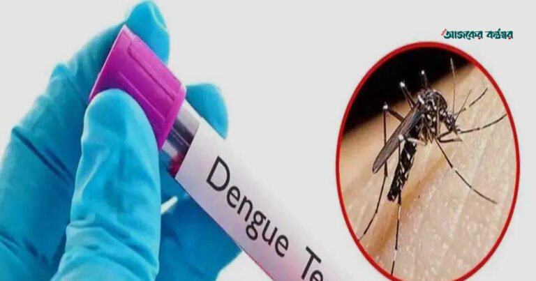 দেশে ডেঙ্গুতে আরও ৭ জনের মৃত্যু, নতুন আক্রান্ত ১৩৭৩