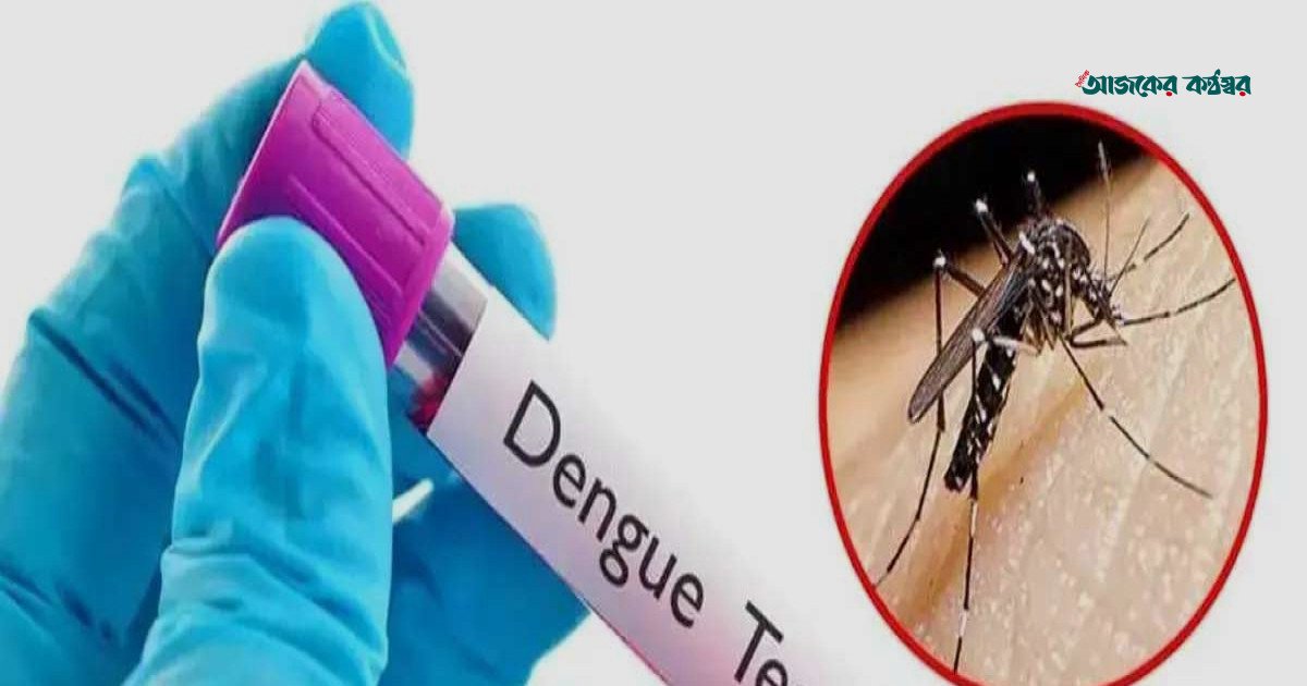 দেশে ডেঙ্গুতে আরও ৭ জনের মৃত্যু, নতুন আক্রান্ত ১৩৭৩