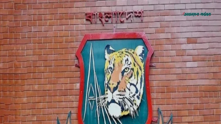 নারী ক্রিকেটের উন্নয়নে ৮ বিভাগে কোচ নিয়োগ চূড়ান্ত করল বিসিবি