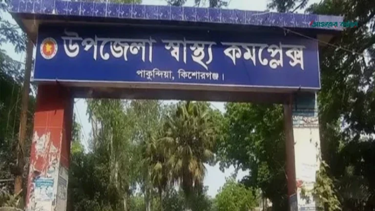 পাকুন্দিয়ায় খেলতে গিয়ে পুকুরে ডুবে দুই শিশুর মৃত্যু