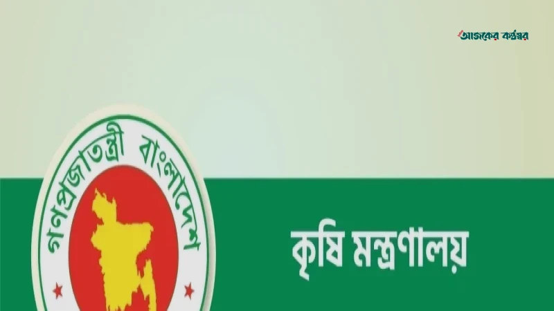 বিভিন্ন জেলায় সারের অস্থায়ী ডিলার নিয়োগ দিল সরকার