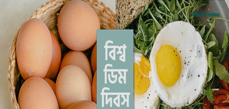 বিশ্ব ডিম দিবস: ডিমের বৈজ্ঞানিক গুণাগুণ ও বাংলাদেশের সম্ভাবনা