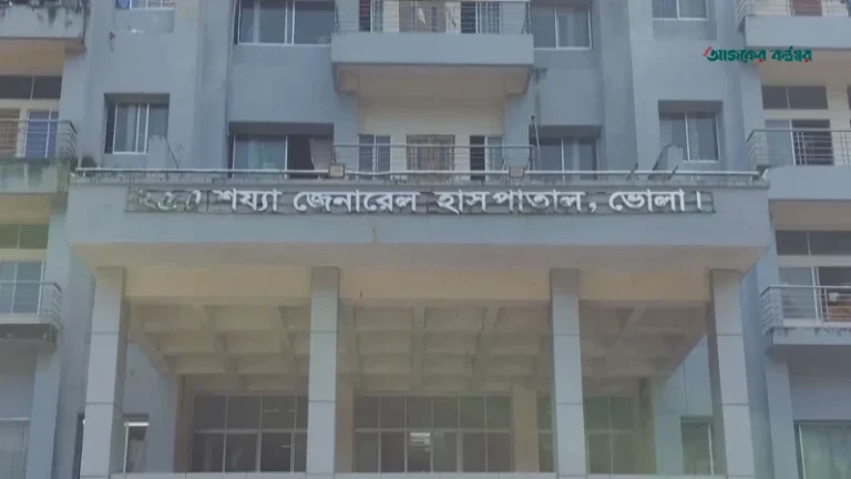 ভোলায় সিএনজি চাপায় প্রাণ গেল মসজিদের ইমামের