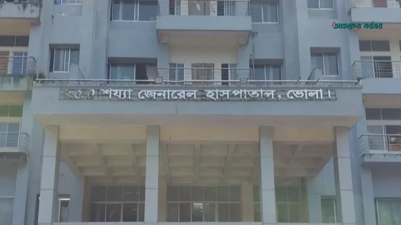 ভোলায় সিএনজি চাপায় প্রাণ গেল মসজিদের ইমামের