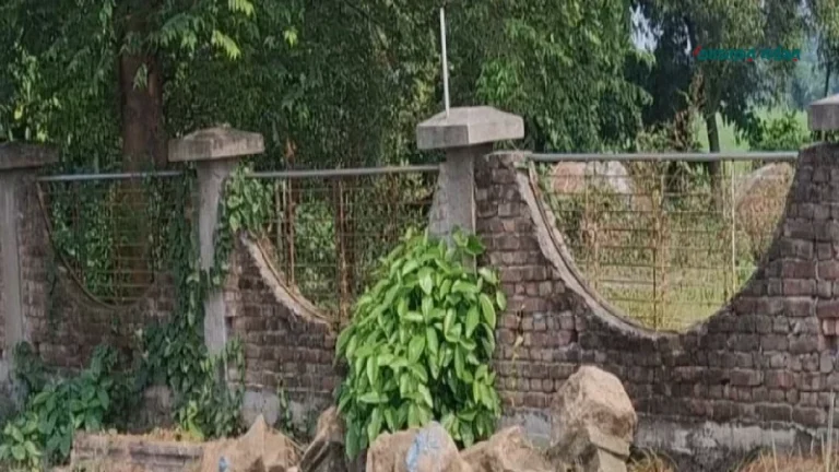 মুন্সীগঞ্জে সাবেক রাষ্ট্রদূতের পারিবারিক কবরস্থানে ভাঙচুর