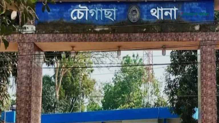 যশোরের চৌগাছায় পিকআপের ধাক্কায় স্কুলছাত্র নিহত