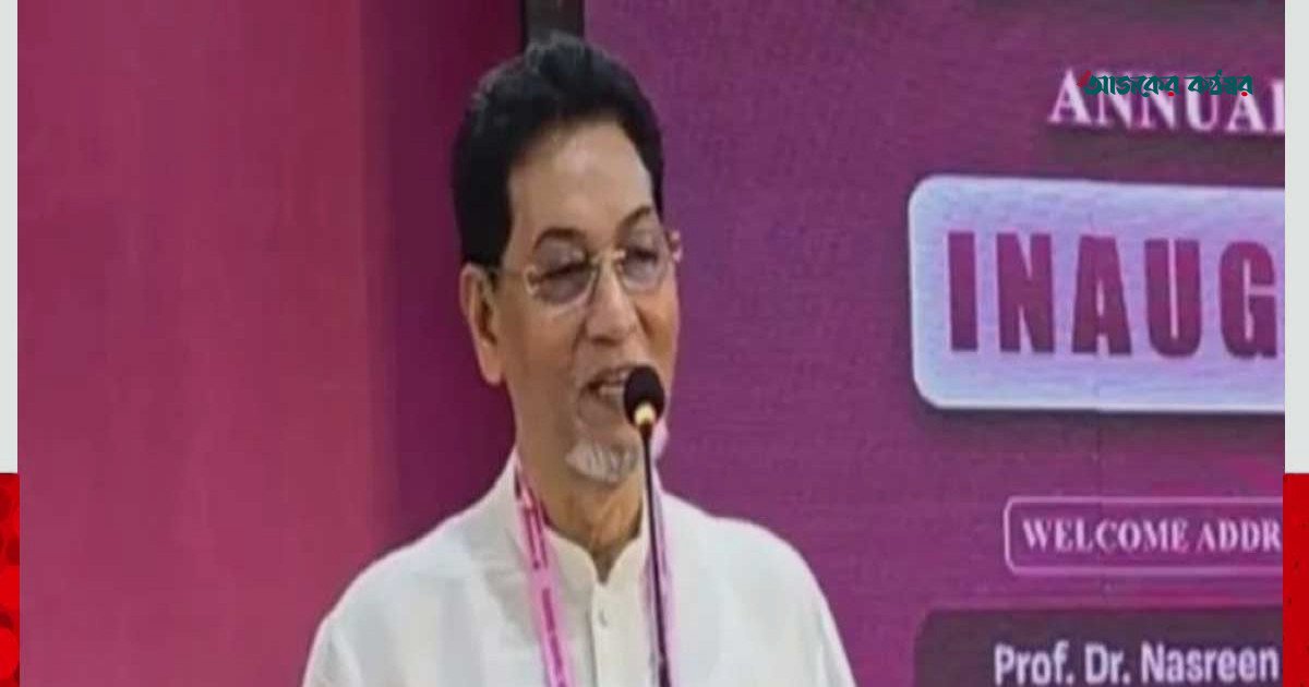রিকশাচালক সেজে ঘুরছে আ.লীগের সন্ত্রাসীরা: চিফ হুইপ নূরুল ইসলাম মনি