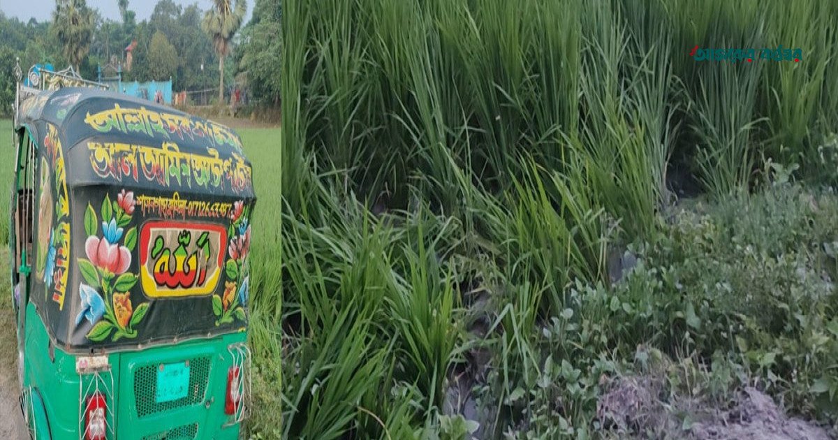 লালমাইয়ে ধানক্ষেতে স্কুলছাত্রীর লাশ, জীবন বাঁচাতে লড়াইয়ের চিহ্ন