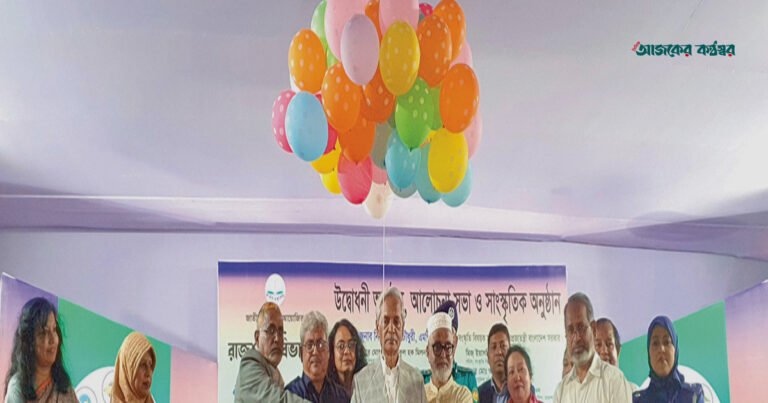 শিক্ষাব্যবস্থায় দক্ষতার অভাব রয়েছে: সংস্কৃতিমন্ত্রী নিতাই রায় চৌধুরী