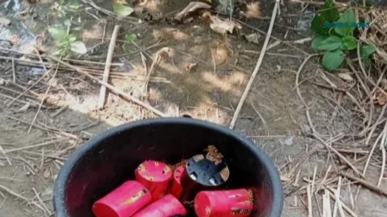 শিবগঞ্জে খড়ের স্তূপ থেকে ১৯টি ককটেল উদ্ধার