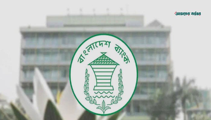 সাইবার নিরাপত্তাঝুঁকিতে বাংলাদেশ ব্যাংকের ওয়েবসাইট সাময়িকভাবে বন্ধ