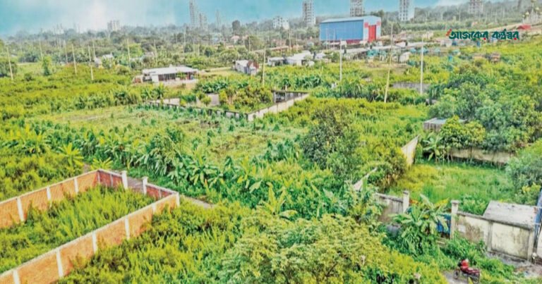 ৩১ বছর পেরিয়েও নাগরিক সুবিধাবঞ্চিত মেগা প্রকল্প পূর্বাচল